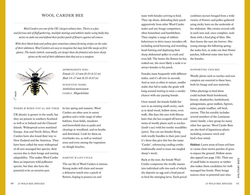 The Wild Bee Handbook by Sarah Wyndham Lewis