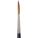 Winsor & Newton Artists' Watercolour Sable Brush (Rigger)