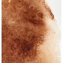 Individual Winsor & Newton Artist's Watercolour (14ml Tube) (Various Colours)