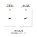 Midori Picture Clip Natural