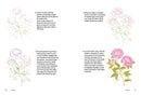 Rewild Your Drawing: How to draw botanicals by Marta Glowack