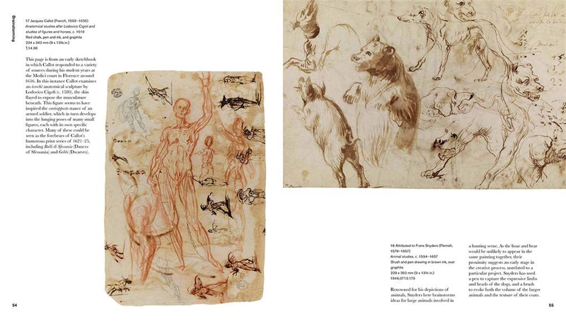 Lines of Thought: Drawing from Michaelangelo to Now by Isabel Seligman