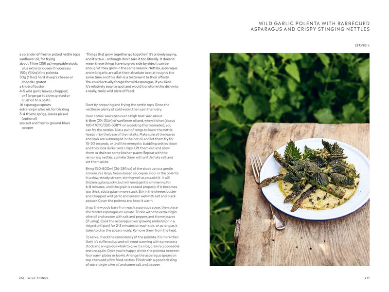 Outside: Recipes for a Wilder Way of Eating by Gill Meller