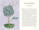 Folklore of Trees: The fascinating Stories Behind Nature's Guardians by Aidan Meighan