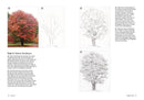 How to Draw a Tree : From the fruit to the forest by Alex Boon (HB)