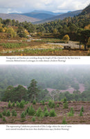 Regeneration: The Rescue of a Wild Land by Andrew Painting