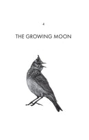 The Quiet Moon: Pathways To An Ancient Way Of Being (Paperback) by Kevin Parr