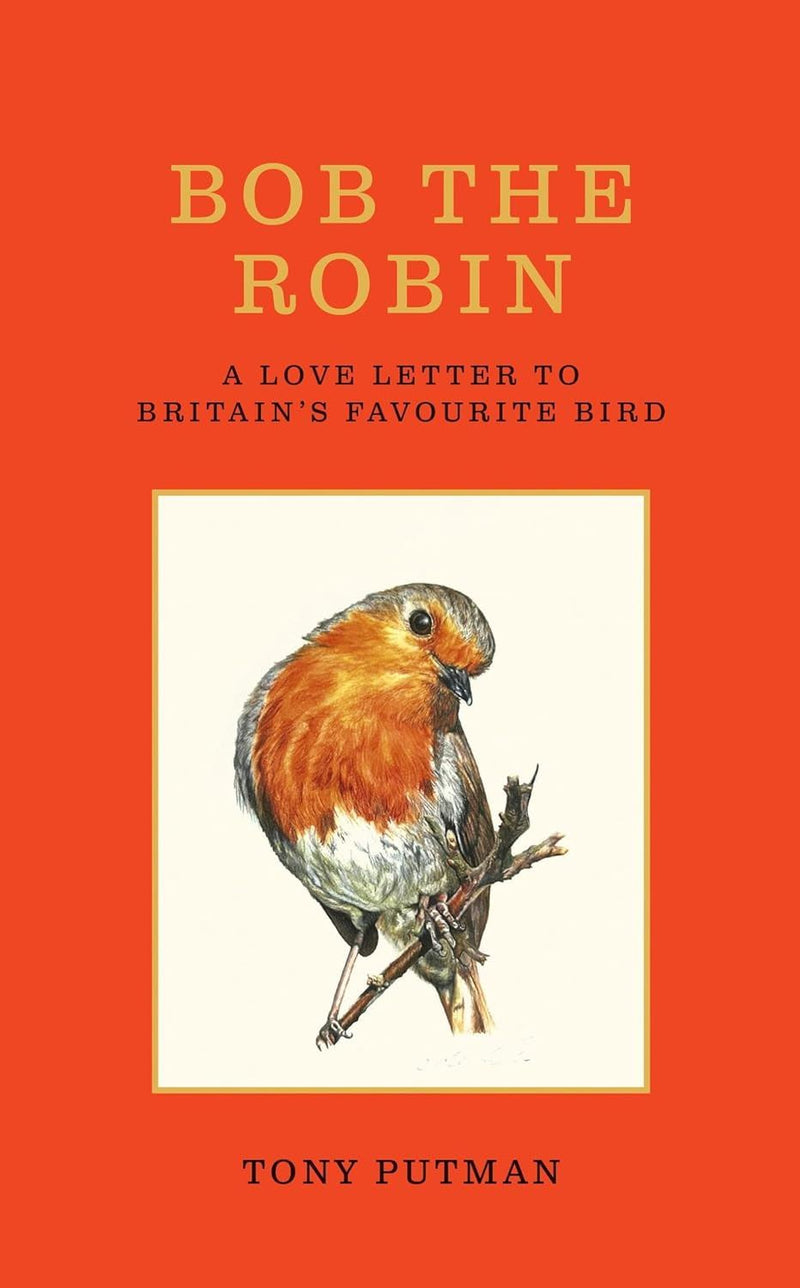 Bob The Robin (HB) by Tony Putman