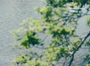 Do Reset: Meditate, Move Beyond thinking, Find Clarity by Jillian Lavender