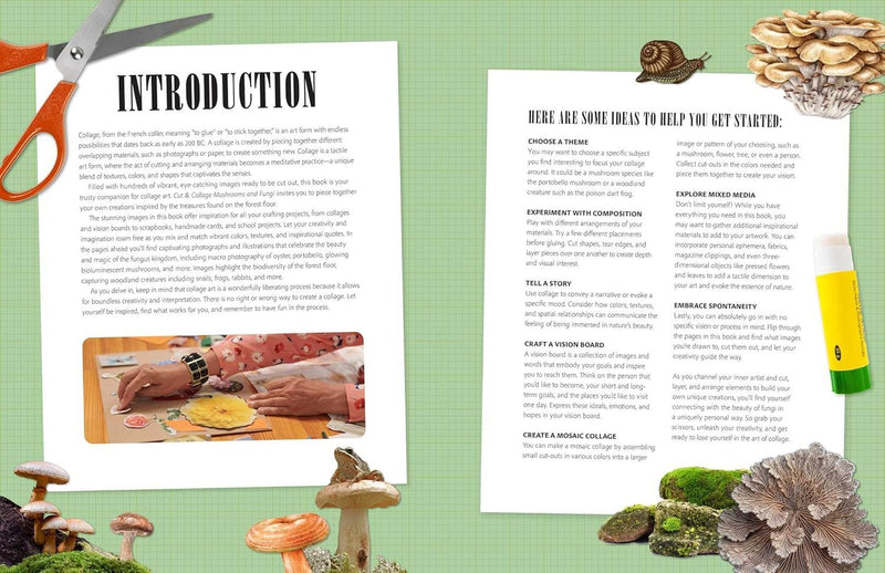 Cut and Collage Mushroom and Fungi (PB)