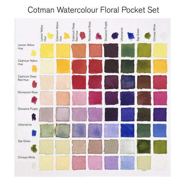 Winsor & Newton Cotman Watercolour Half Pans Pocket Sets (Set of 8 + Brush)