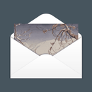 Winter Grasmere by William Heaton Cooper R.I. (1903 - 1995)