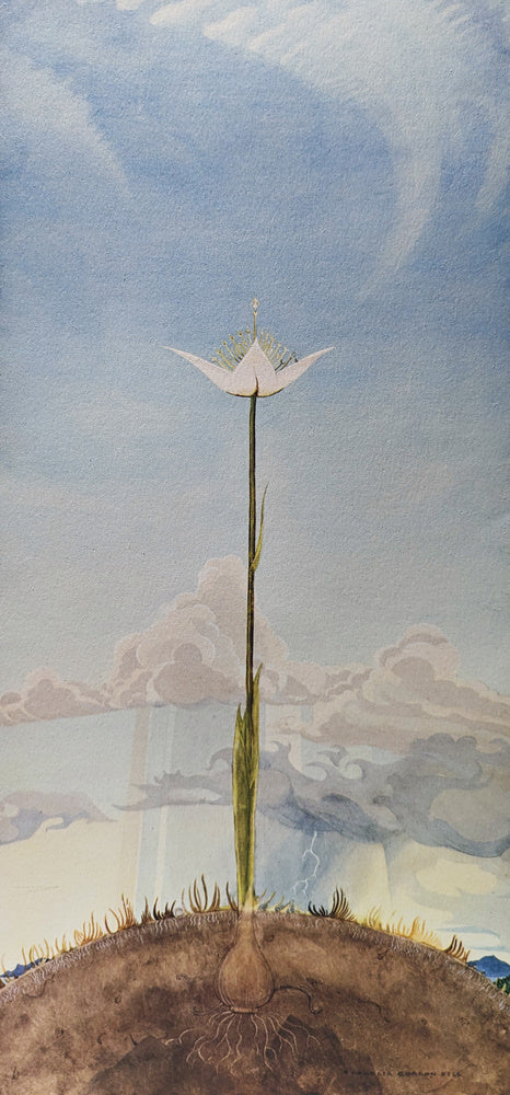 Flower of Understanding by W J Ophelia Gordon Bell (1883 - 1973)