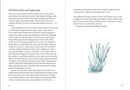 Year In Water : Swimming Writing Living (North House) HB by Beth McDonough