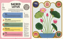 Superpowered Plants (HB) by Soledad Romero Marino