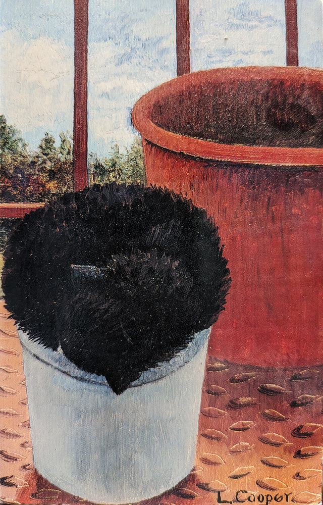 Kitten Asleep by Linda Cooper (née Ryle) (b. 1947)