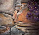 Old Wall with Clemaitis - Original Artwork by Linda Ryle
