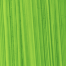 Michael Harding Artists' Oil Colours