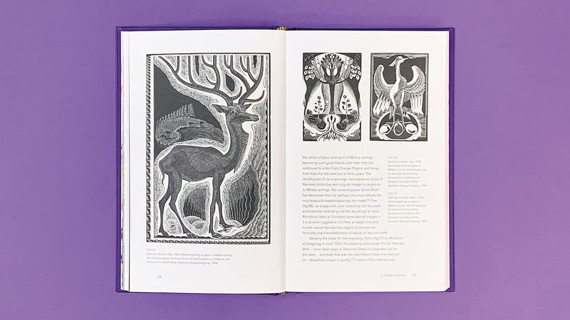 Drawn to Nature: Gilbert White and the Artists by Simon Martin