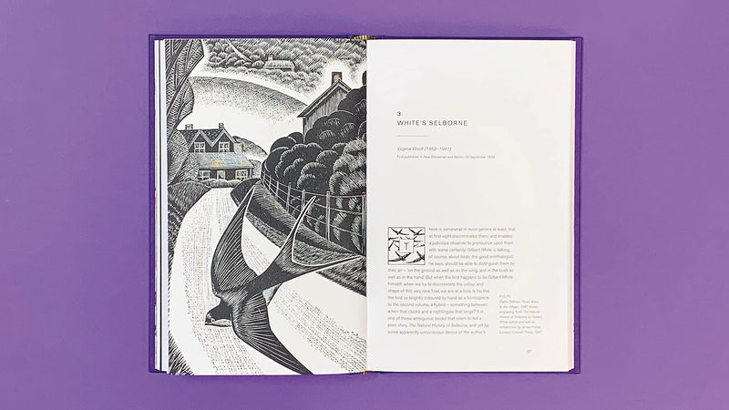 Drawn to Nature: Gilbert White and the Artists by Simon Martin