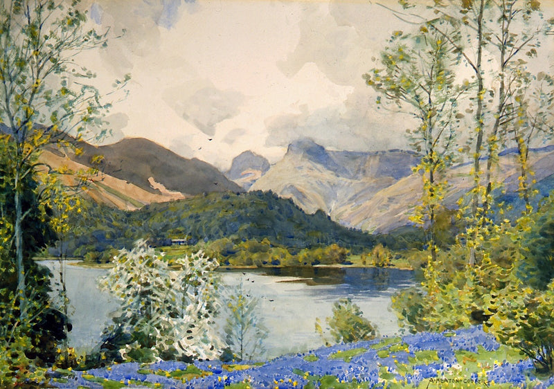 Bluebells at Elterwater by Alfred Heaton Cooper (1863 - 1929)