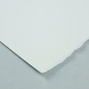 Botanical Ultra Smooth Watercolour Paper Sheet (50x70cm)