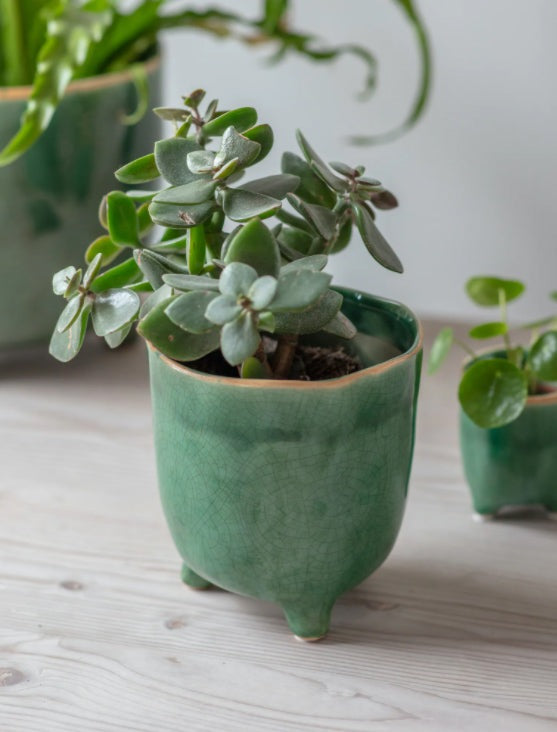 Positano Pot Forest Green