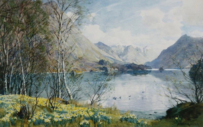 Wild Daffodils, Ullswater by Alfred Heaton Cooper (1863 - 1929)